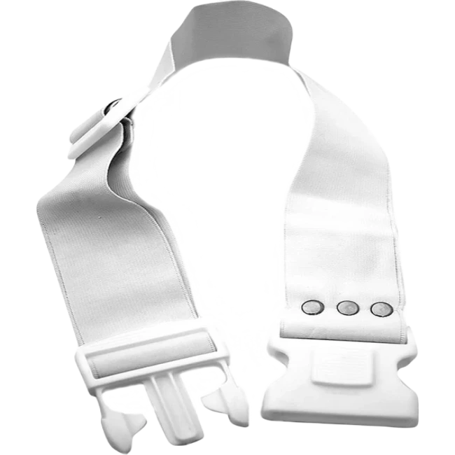 Text